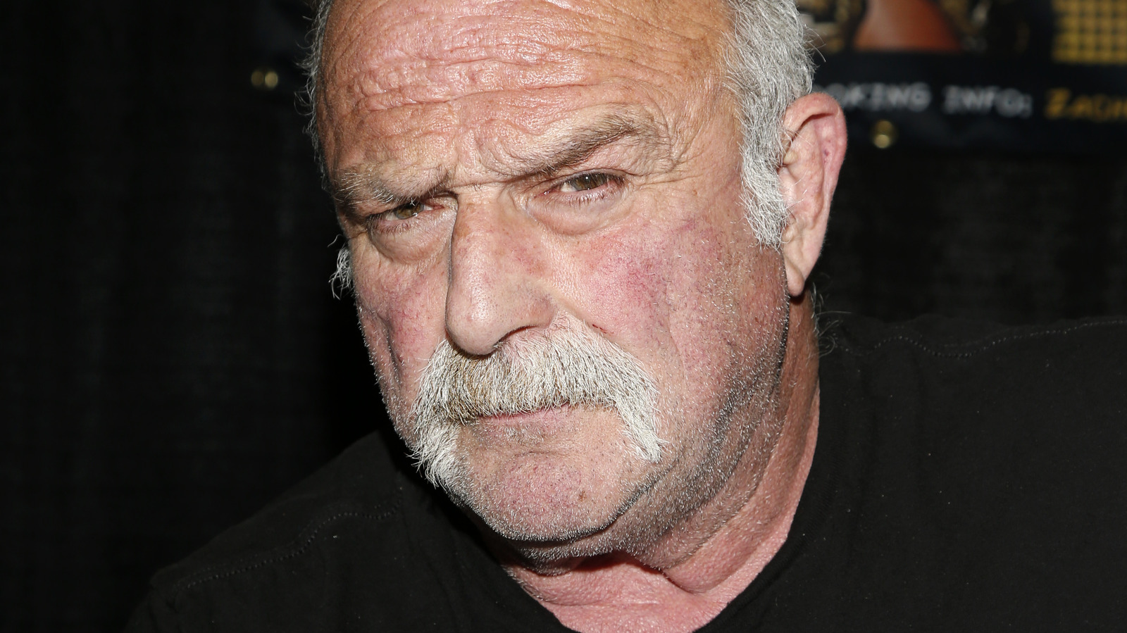 Jake Roberts Describes The Honor Of Being Inducted Into Wwe Hall Of