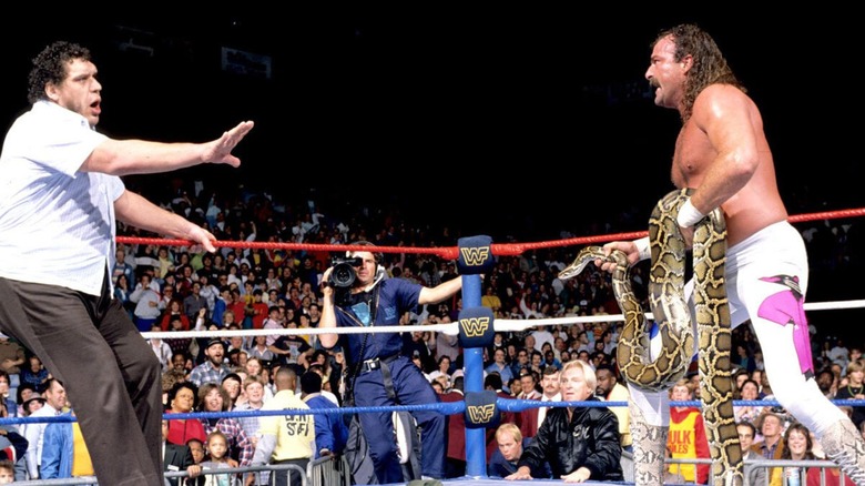 Jake "The Snake" Roberts threatening Andre the Giant with his snake as Bobby Heenan watches on at ringside