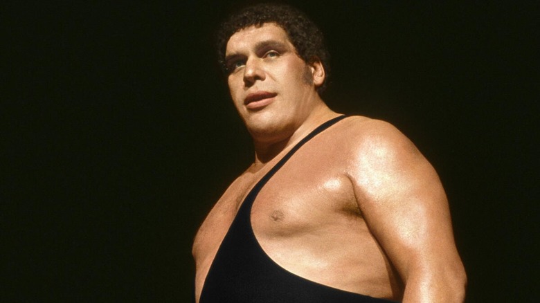 Andre the giant posing in the ring