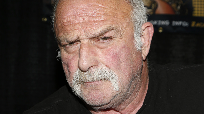 Jake Roberts glares