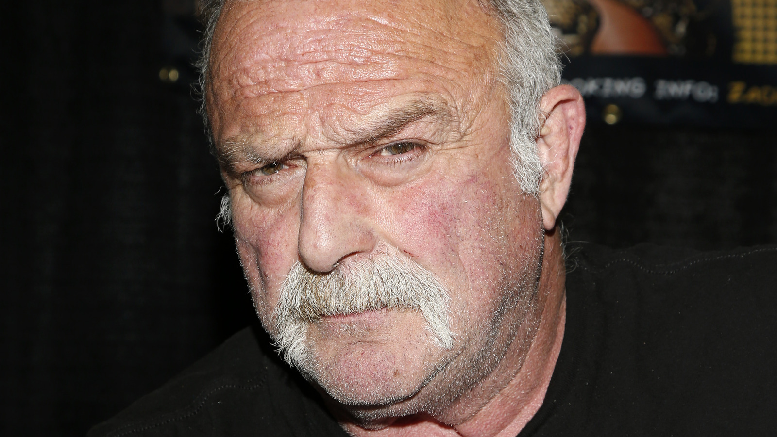 Jake Roberts Explains Why It's Okay For Wrestlers To Break Character