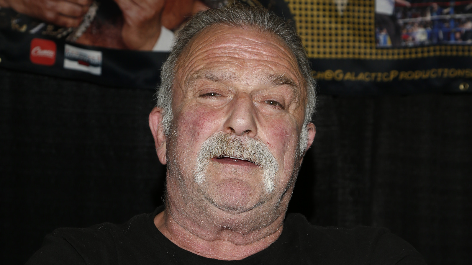 Jake Roberts On What He'd Have Done As Vince McMahon At WWE Survivor Series 1997