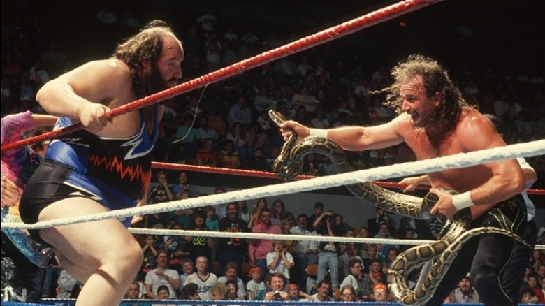 Jake Roberts snake