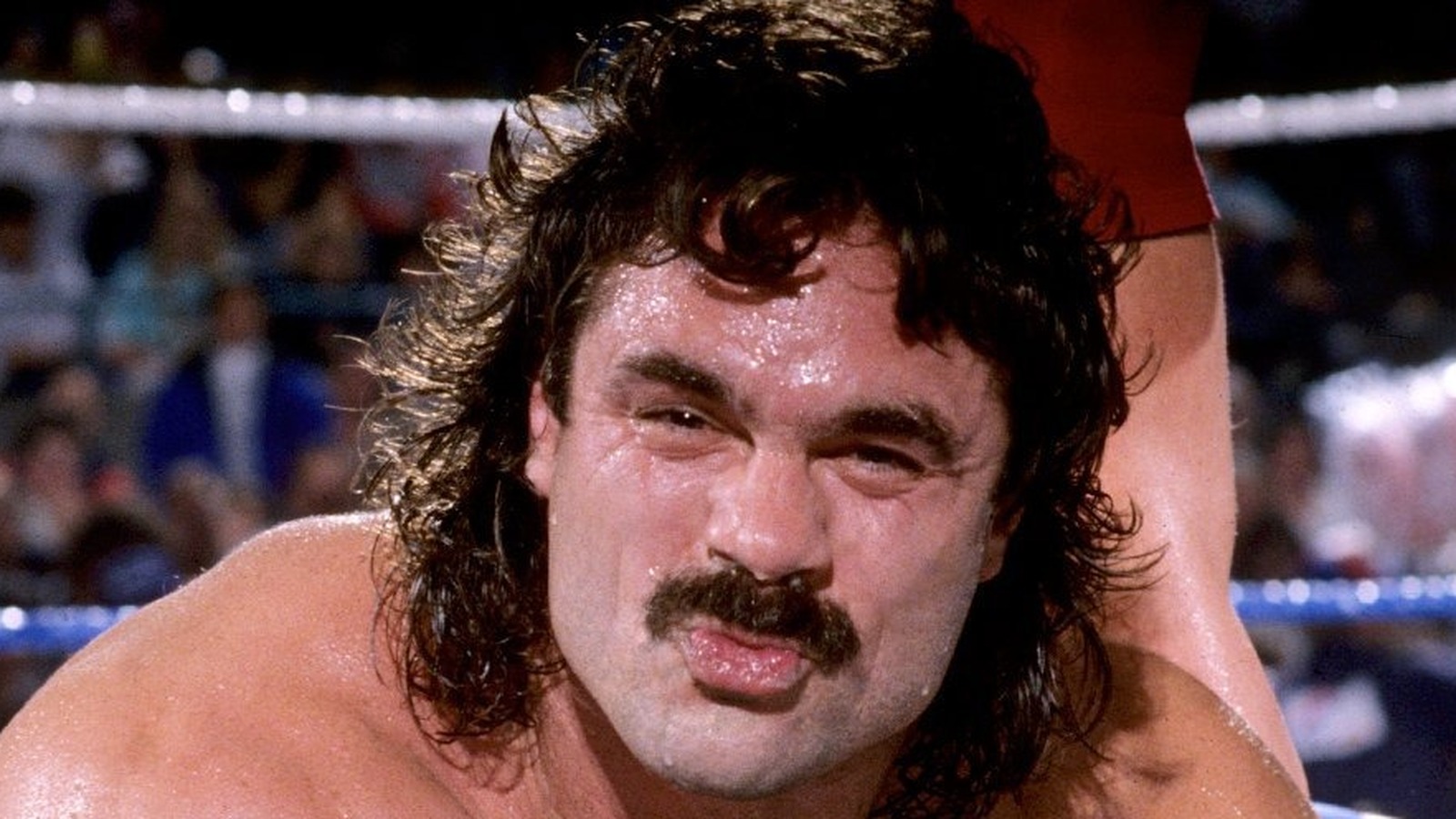 jake-roberts-recalls-ridiculous-reason-rick-rude-got-arrested