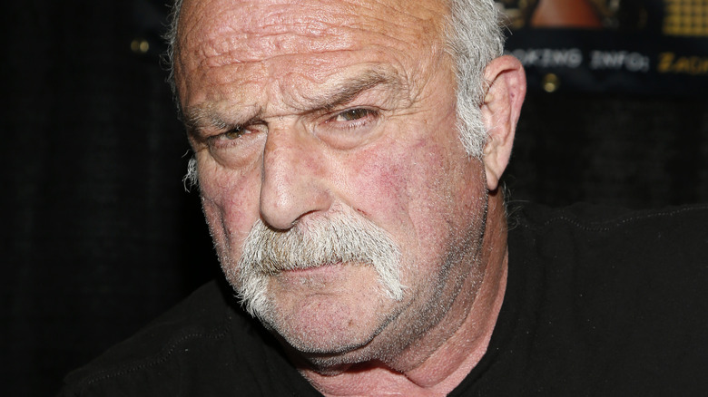 Jake Roberts posing