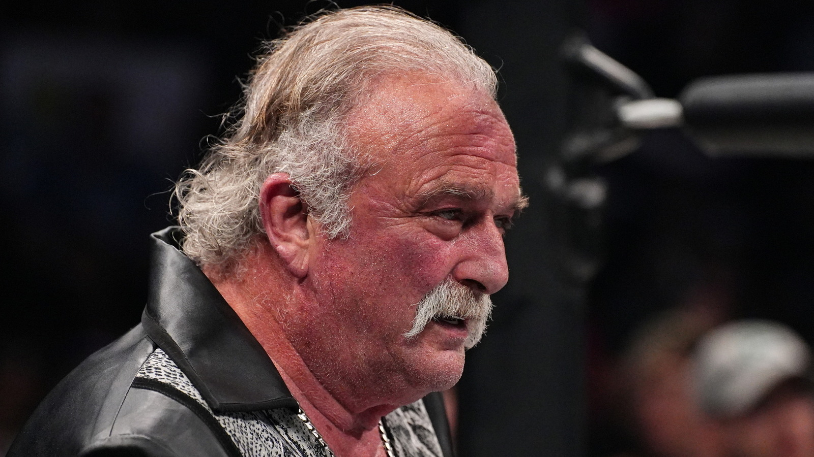 Jake The Snake Roberts Has Interesting Choice For WWE Retirement Match ...