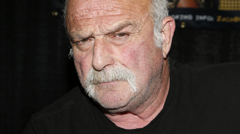 Jake Roberts