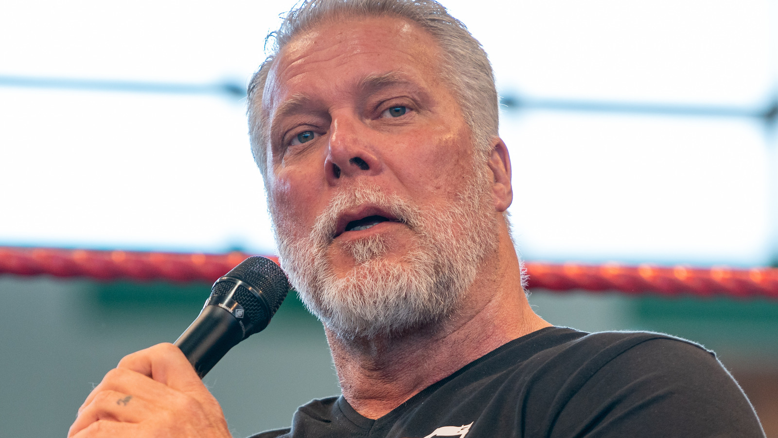 aew kevin nash