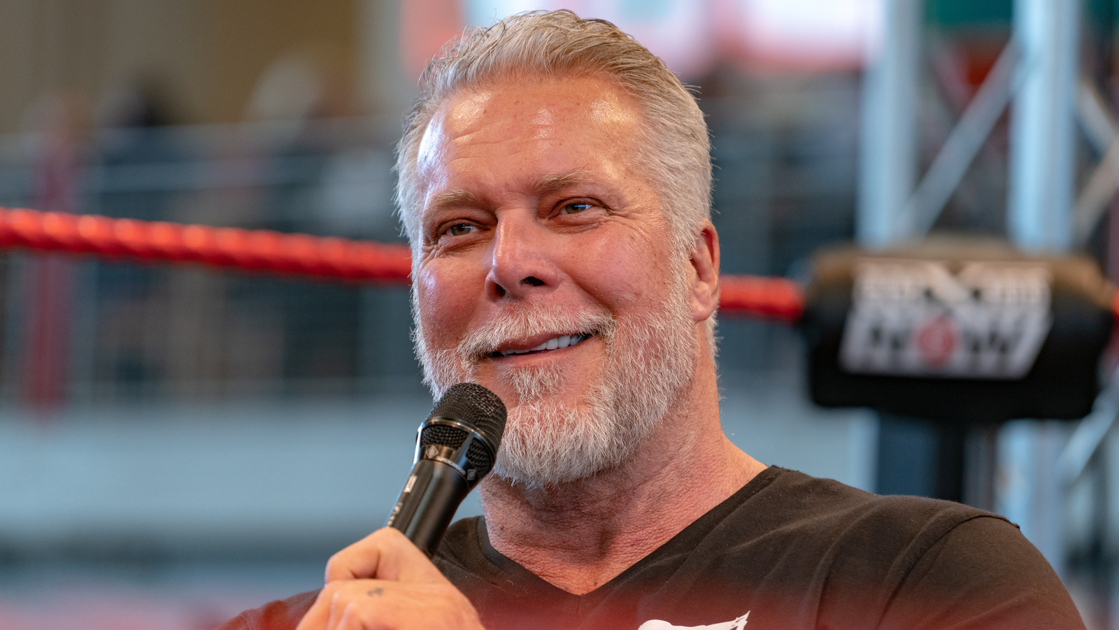 Kevin Nash On The Idea Of CM Punk Appearing At WWE Royal Rumble