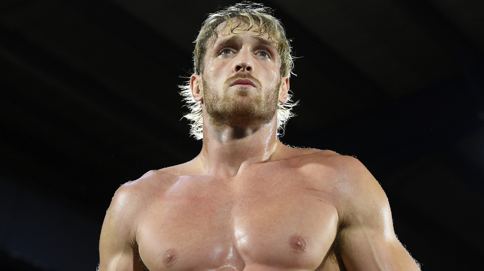 Logan Paul Wants To Win The WWE Tag Team Titles With This Fellow Star