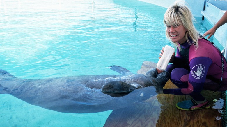 Madusa bottle-feeds a dolphin