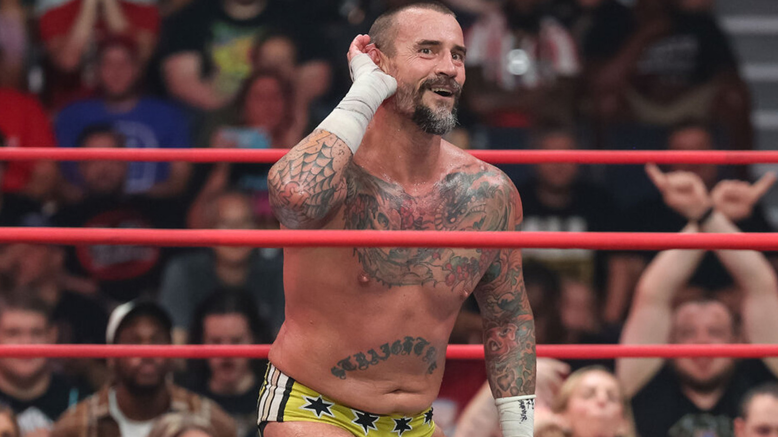 More Backstage Details About Cm Punkjack Perry Altercation At Aew All In 