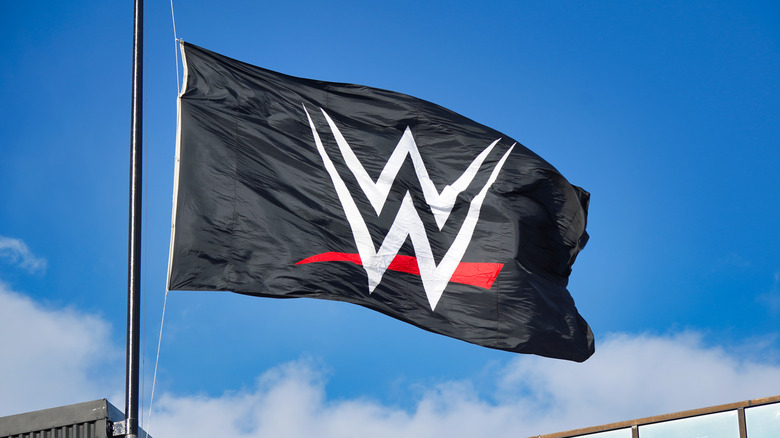 WWE logo flag