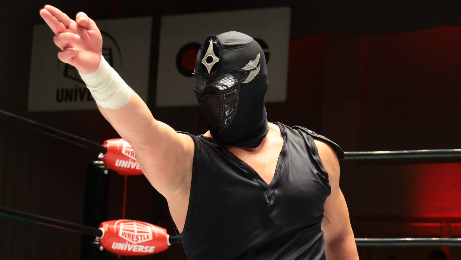 Rank the Masked Wrestlers of 2022 in AEW & WWE