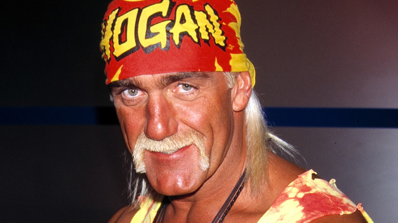 Hulk Hogan in WCW