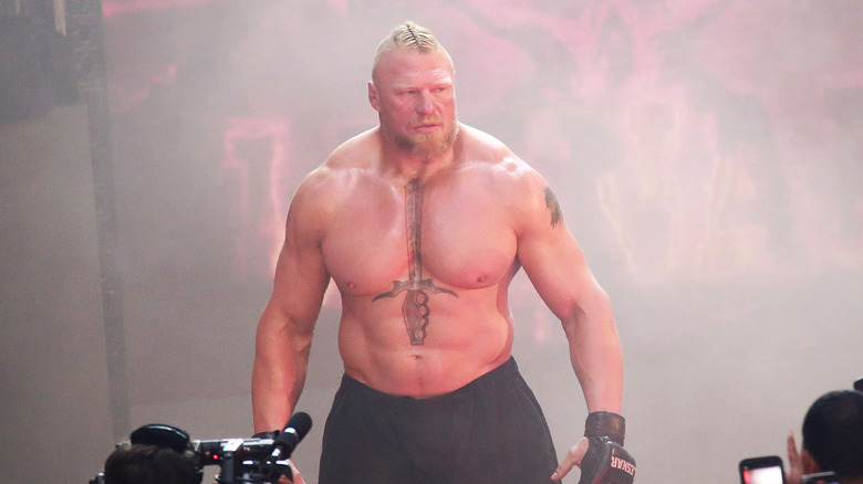 Brock Lesnar WWE 