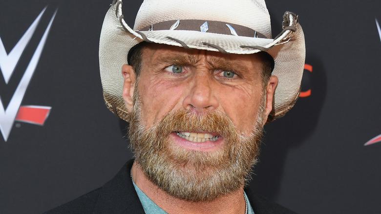 Shawn Michaels grimaces