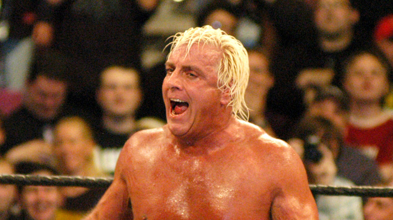 Ric Flair standing in the ring
