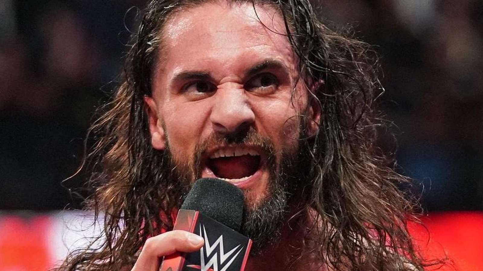 Seth Rollins, Chicago Bears Crush it With 'The Bear' Schedule Release