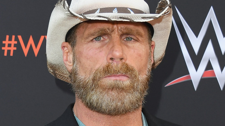 WWE's Shawn Michaels