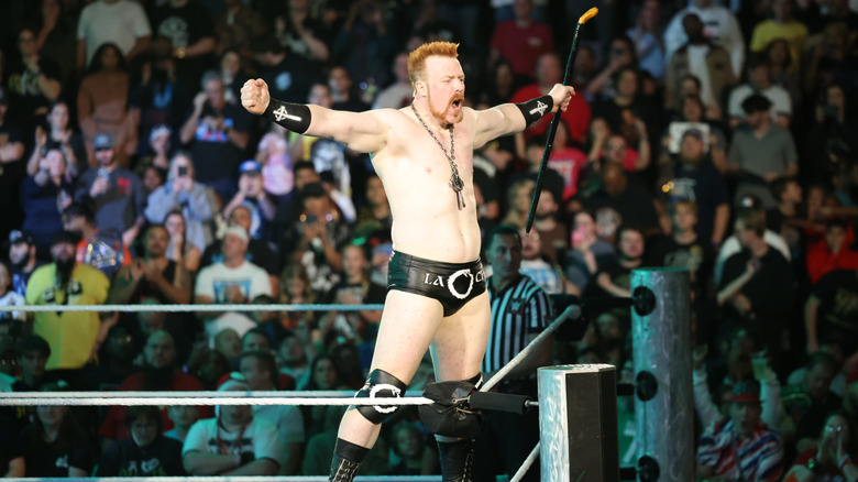 sheamus posing on the turnbuckle