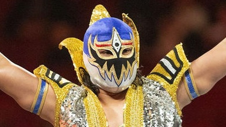 Gran Metalik In Action In WWE