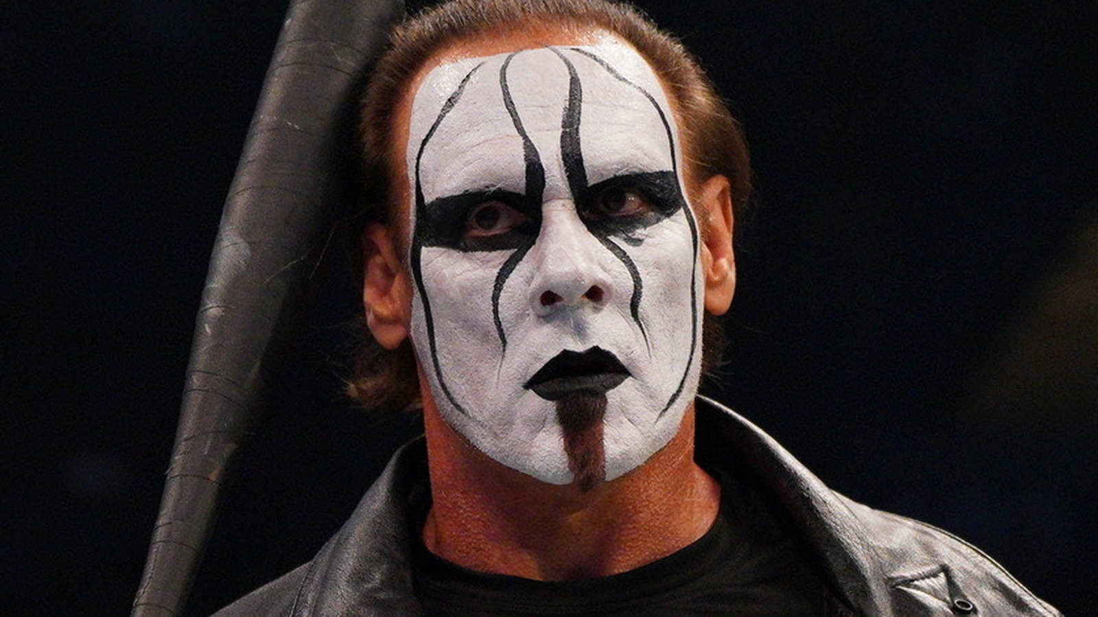 Sting Wrestler