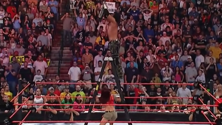 Lita pushes ladder