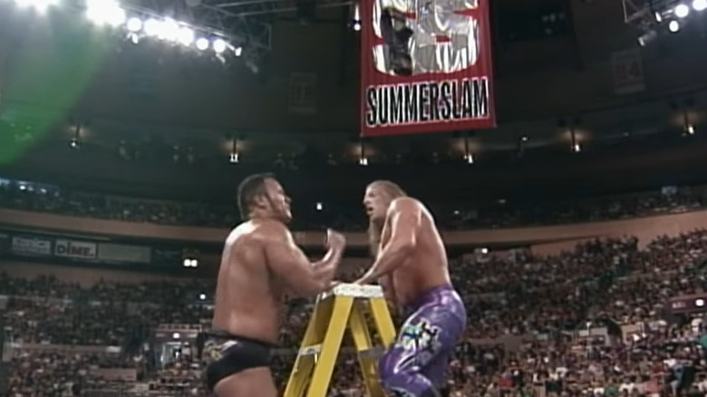 Triple H and The Rock on top of ladder