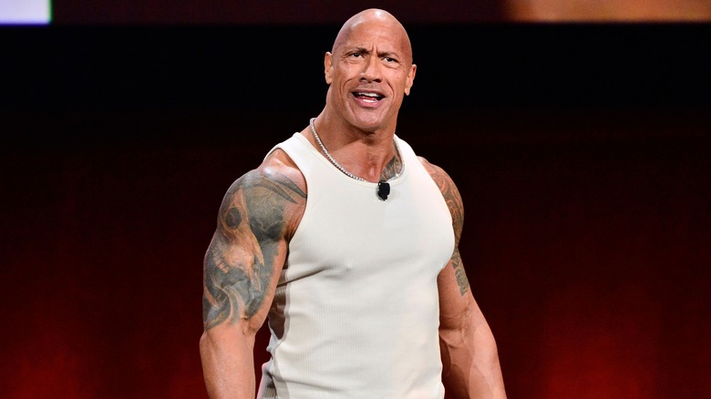 The Rock looks confused