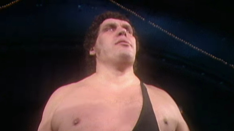 Andre the Giant walks to ring