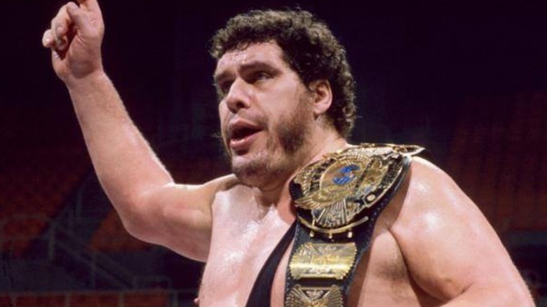 andre the giant wwf championship