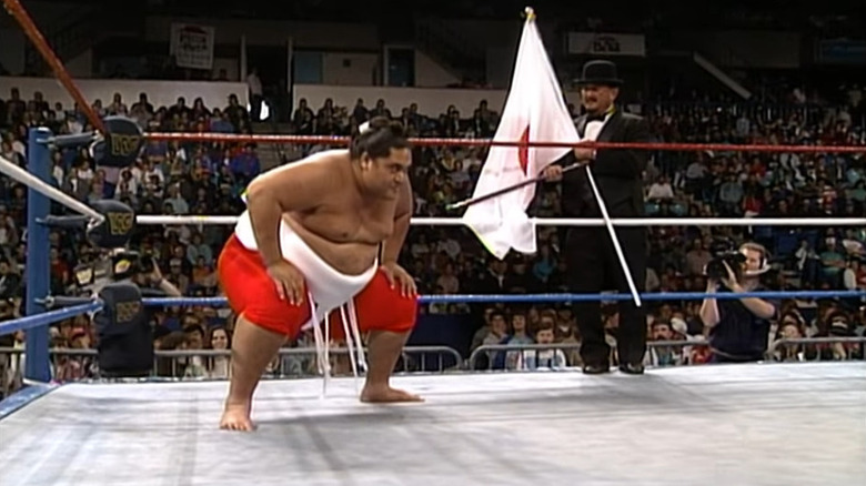 Yokozuna crouching