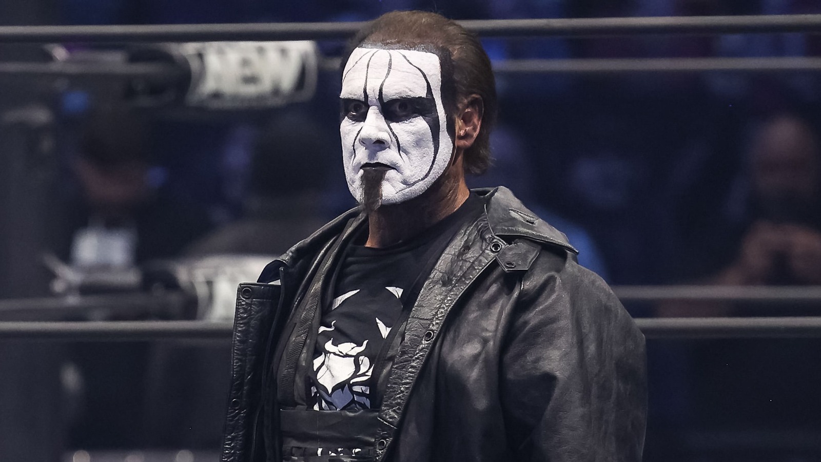 Things Everyone Gets Wrong About The Icon Sting