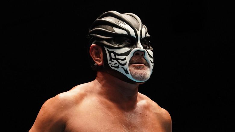 The Great Muta stares