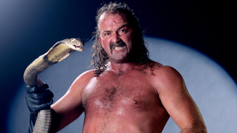 Jake "The Snake" Roberts growling 