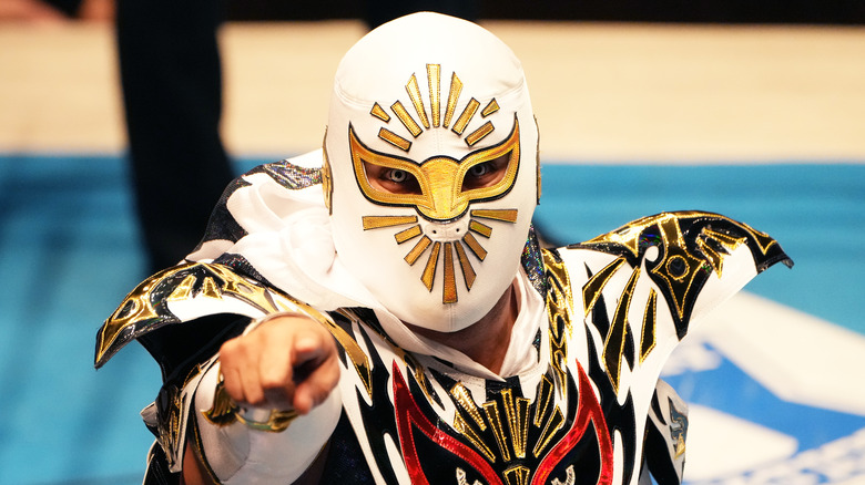 Mistico with the point