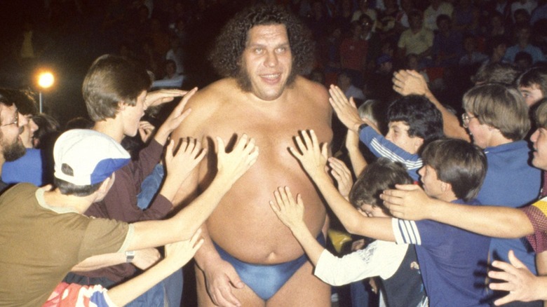 Andre the Giant is pictured walking through a crowd to the ring, fans touching his chest, before a match.