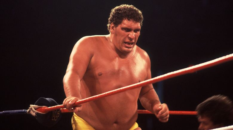 Andre the Giant at Wrestlemania 2 at the Rosemont Horizon in Rosemont, Illinois April 7,1986