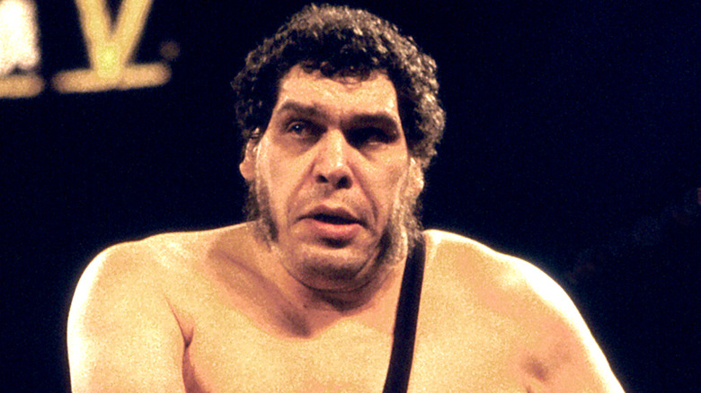 Wrestler André René Roussimoff best known as Andre The Giant in the ring at Wrestlemania V at Convention Hall in Atlantic City, New Jersey April 22 1989.