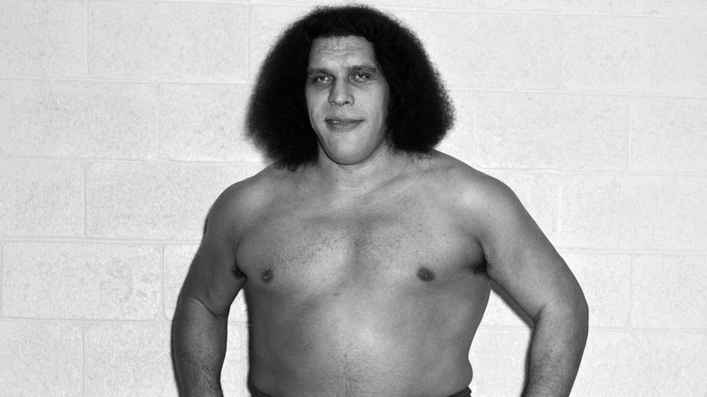 Andre the Giant poses for the camera in Montreal, Canada on 25 Aug 1980.