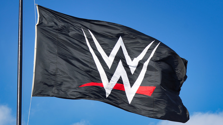WWE Flag waves