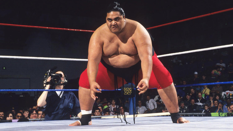 Yokozuna