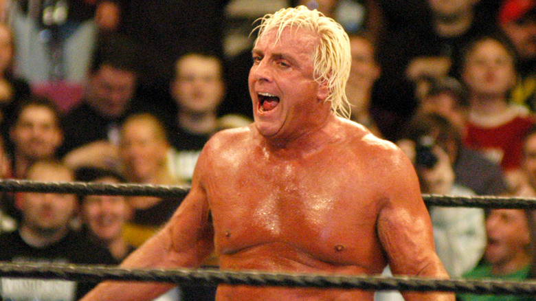 Ric Flair in the ring