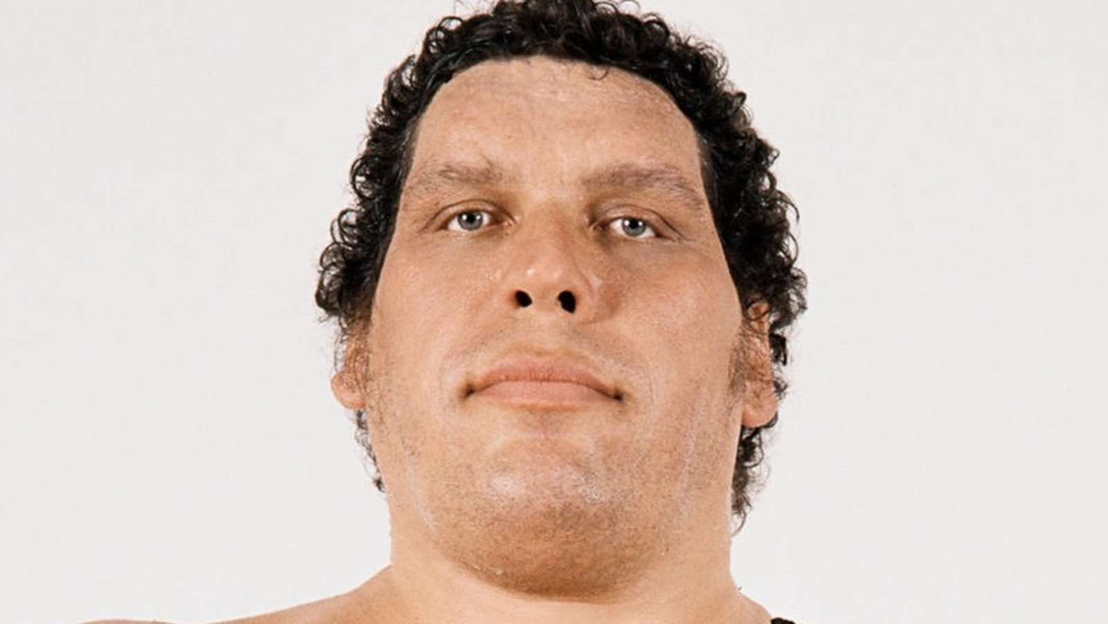 Wrestlers We Would Have Loved To See Andre The Giant Match Up Against