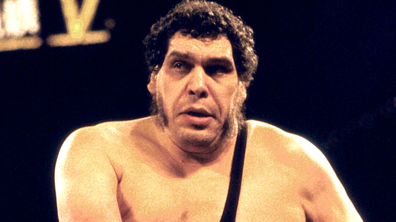 Wrestler André René Roussimoff best known as Andre The Giant in the ring at Wrestlemania V at Convention Hall in Atlantic City, New Jersey April 22 1989.