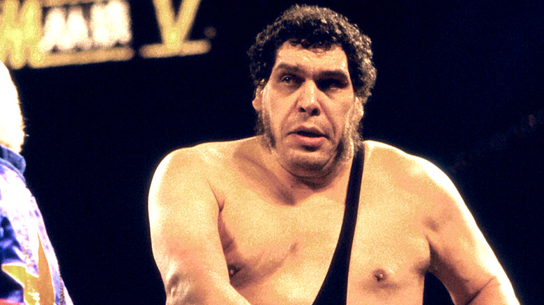 Wrestler André René Roussimoff best known as Andre The Giant in the ring at Wrestlemania V at Convention Hall in Atlantic City, New Jersey April 22 1989.