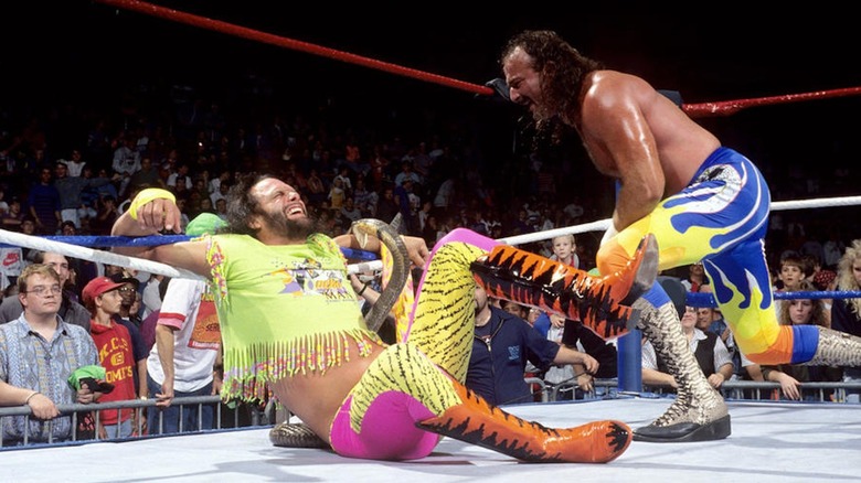 Jake Roberts smiles as his snake tears into Randy Savage