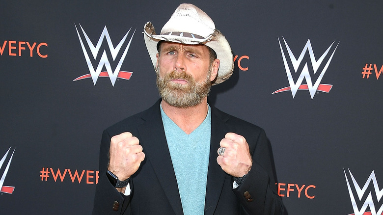 Shawn Michaels, fist up, ready for Bakersfield
