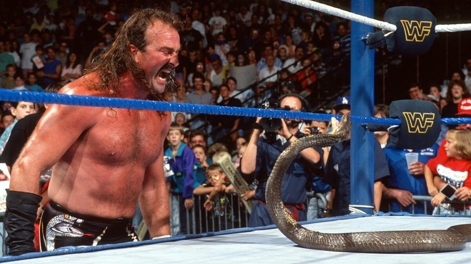 WWE Hall Of Famer Jake Roberts On Fear Of Snakes, How Many Times He's Been Bitten